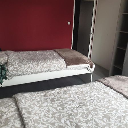 Mulhouse,Grand Appart Cosy&Lumineux, 78M2 , Pour 5 Personnes Экстерьер фото